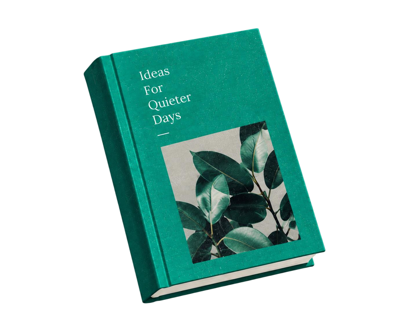 Ideas For Quieter Days